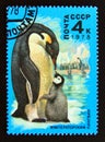 Postage stamp Soviet union, CCCP 1978. Emperor Penguin Aptenodytes forsteri