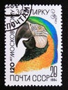 Postage stamp Soviet Union, CCCP, 1984. Exotic Blue and Yellow Macaw Ara ararauna