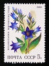 Postage stamp Soviet Union, CCCP, 1988, Giant Bellflower Campanula latifolia