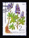 Postage stamp Soviet union, CCCP 1985. Larkspur Delphinium dictyocarpum plant