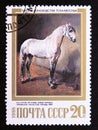 Postage stamp Soviet Union, CCCP, 1988. Letuchy, Grey Stallion of Orlov Trotter Breed Royalty Free Stock Photo