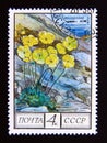 Postage stamp Soviet union, CCCP 1975. Polar Poppy Papaver polare flower Royalty Free Stock Photo