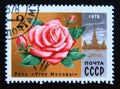 Postage stamp Soviet union, CCCP 1978. Rose Moscow morning flower