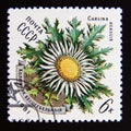 Postage stamp Soviet union, CCCP 1981. Stemless Carline Thistle Carlina acaulis flower Royalty Free Stock Photo