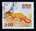 Postage stamp Sri Lanka 1989, Golden Palm Cat, Paradoxurus zeylonensis