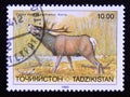 Postage stamp Tajikistan, 1993, Bactrian Deer, Cervus elaphus bactrianus Royalty Free Stock Photo