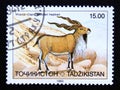 Postage stamp Tajikistan, 1993, Bukharan Markhor, Capra falconeri heptneri Royalty Free Stock Photo