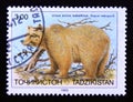 Postage stamp Tajikistan, 1993, Himalayan Brown Bear, Ursus arctos isabellinus