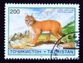 Postage stamp Tajikistan, 1996, Jungle Cat, Felis chaus oxiana Royalty Free Stock Photo