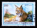 Postage stamp Tajikistan, 1996, Mongolian Lynx, Lynx lynx isabellina