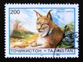 Postage stamp Tajikistan, 1996. Mongolian Lynx Lynx lynx isabellina