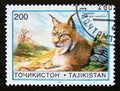 Postage stamp Tajikistan, 1996. Mongolian Lynx Lynx lynx isabellina