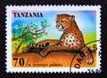 Postage stamp Tanzania, 1995. Cheetah Acinonyx Jubatus