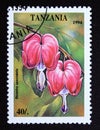 Postage stamp Tanzania, 1994. Dicentra spectabilis tropical flower