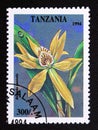 Postage stamp Tanzania, 1994. Encyclia pentotis tropical flower