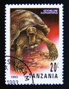 Postage stamp Tanzania, 1993. Galapagos Tortoise Geochelone elephantopus Royalty Free Stock Photo