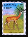 Postage stamp Tanzania, 1995. Gerenuk Litocranius walleri antelope Royalty Free Stock Photo