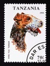 Postage stamp Tanzania, 1993. German Wirehaired Pointer Fox Terrier Dog Canis lupus familiaris