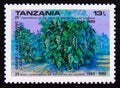 Postage stamp Tanzania, 1990. Grapes fruit agriculture