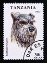 Postage stamp Tanzania, 1993. Minature Schnauzer Canis lupus familiaris dog