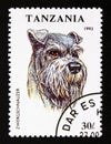 Postage stamp Tanzania, 1993. Minature Schnauzer Dog Canis lupus familiaris