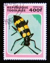 Postage stamp Togo, 1996. Blister Beetle Mylabris variabilis insect Royalty Free Stock Photo