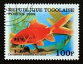 Postage stamp Togo 1999. Fantail Goldfish Carassius auratus