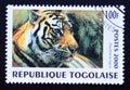 Postage stamp Togo, 2000, Tiger, Panthera tigris