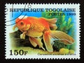 Postage stamp Togo 1999. Veiltail Goldfish Carassius auratus