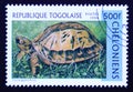 Postage stamp Togo, 1996, Vietnamese Box Turtle Cuora galbinifrons Royalty Free Stock Photo