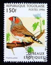 Postage stamp Togo, 1996. Zebra Finch Poephila guttata bird