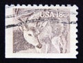 Postage stamp United States of America, USA 1981. White tailed Deer Odocoileus virginianus