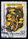 Postage stamp USSR