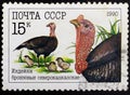 Postage stamp USSR Royalty Free Stock Photo