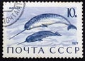 Postage stamp USSR