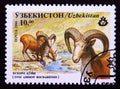 Postage stamp Uzbekistan 1996, Bukhara Urial, Ovis vignei bocharensis