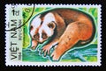 Postage stamp Vietnam, 1984. Bengal Slow Loris Nycticebus coucang