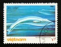 Postage stamp Vietnam, 1985. Blue Whale Balaenoptera musculus