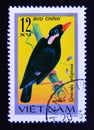 Postage stamp Vietnam, 1978. Common Hill Myna Gracula religiosa bird Royalty Free Stock Photo