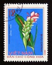 Postage stamp Vietnam, 1975. Curcuma zedoaria medicinal plant flower