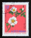 Postage stamp Vietnam, 1975. Rosa laevigata medicinal plant flower