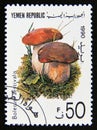 Postage stamp Yemen 1991. Boletus aestivalis Summer Bolete mushroom