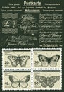 Postage Stamps. Butterfly, Moth Isolated. Insect Realistic. Fauna. Postcard. Engraving, Drawing Nature. Vintage Illustration.