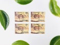Postage stamps of Malaysia. Javan Mousedeer Tragulus javanicus Royalty Free Stock Photo