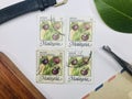 Postage stamps of Malaysia.1986 National Fruits Series. Manggis Garcinia mangostana