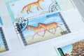 Postage stamps, Mongolia animals