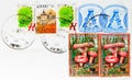 Postage stamps printed in Belarus, with stamp of Vitebsk shows Lactarius torminosus, Zinnia, Lida castle XIV century, serie, circa