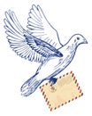 Postal dove with air mail envelope