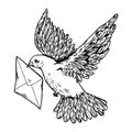 Postal dove with letter engraving style vector Royalty Free Stock Photo