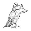 Postal dove with letter sketch engraving vector